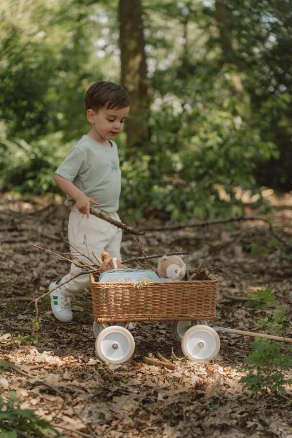 Suitcases Forest Friends FSC
